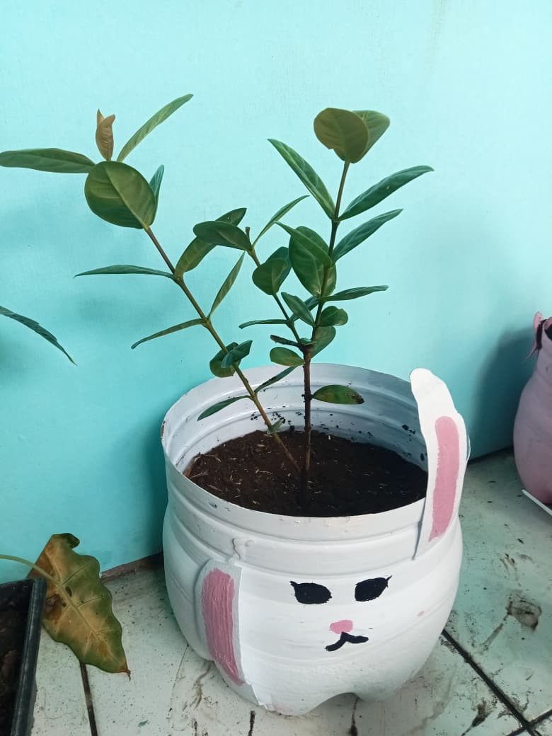 Bunga Asoka,kelas X-8